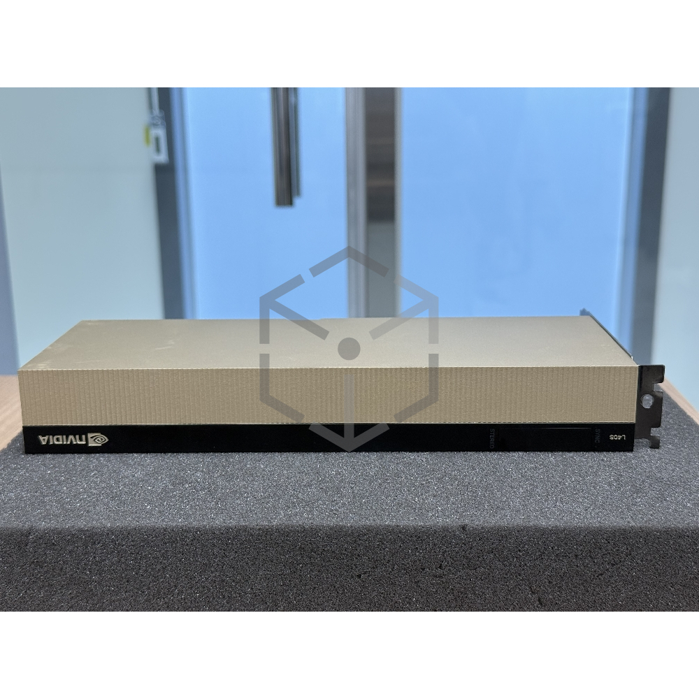 Nvidia L40S 48G