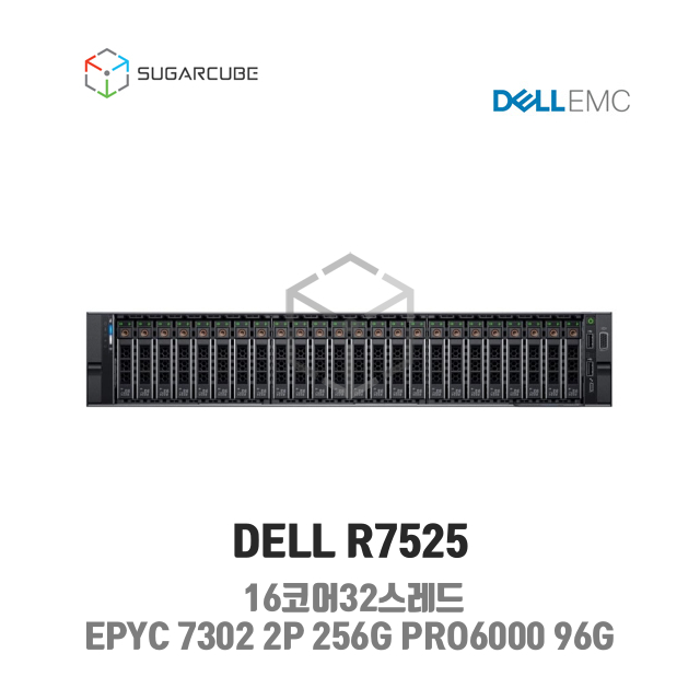 DELL Poweredge R7525 EPYC 7302 2P 256G PRO6000 96G MAX-Q 중고