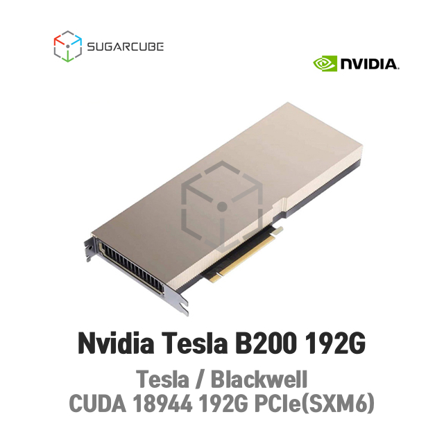 Tesla B200 192G OEM