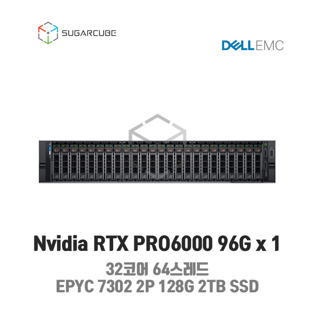 GPU호스팅 RTX PRO 6000 1 32코어 64스레드 128G 2TB SSD 딥러닝 빅데이터 인공지능 데이터센터 회선포함